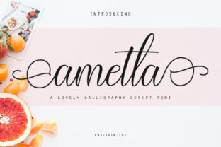 Ametta Script: Where Feminine Charm Meets Professional Polish