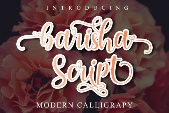 Barisha Script: Crafting Authenticity in Your Visual Voice