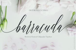 Barracuda Script: A Handwritten Font for Elegant Branding