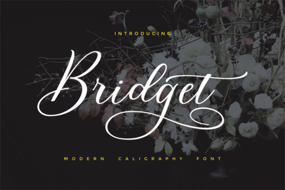 Bridget Script: The Feminine Font for Modern Branding