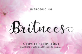 Britnees Script: A Trendy Font for Modern Creative Projects