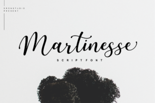 Martinesse Script: The Font That Balances Elegance with Everyday Versatility