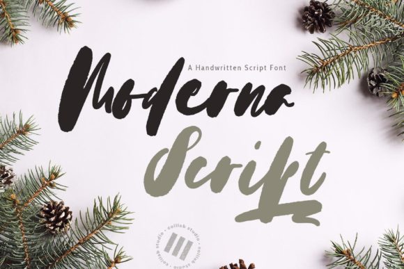 Modern Script Elegance: Finding Your Brand's Signature Voice