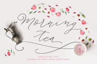 Morning Tea Script: The Handwritten Font with a Gentle Soul
