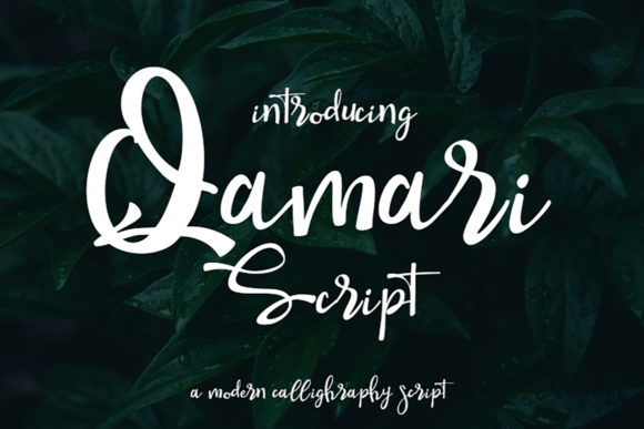 Qamari Script: A Font That Feels Like a Personal Touch