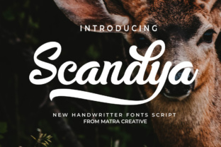 Scandya Script: Authentic Handwriting for Modern Brands