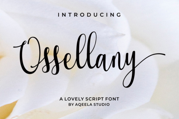 The Art of Flow: Why Ossellany Script is Your Next Design Staple