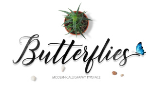 Why Butterflies Script Feels Like the Font You’ve Been Searching For